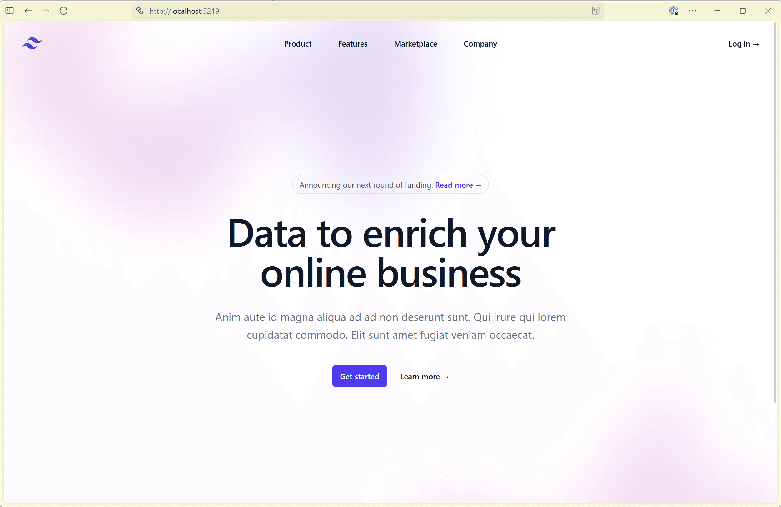 The running application with Tailwind styles applied