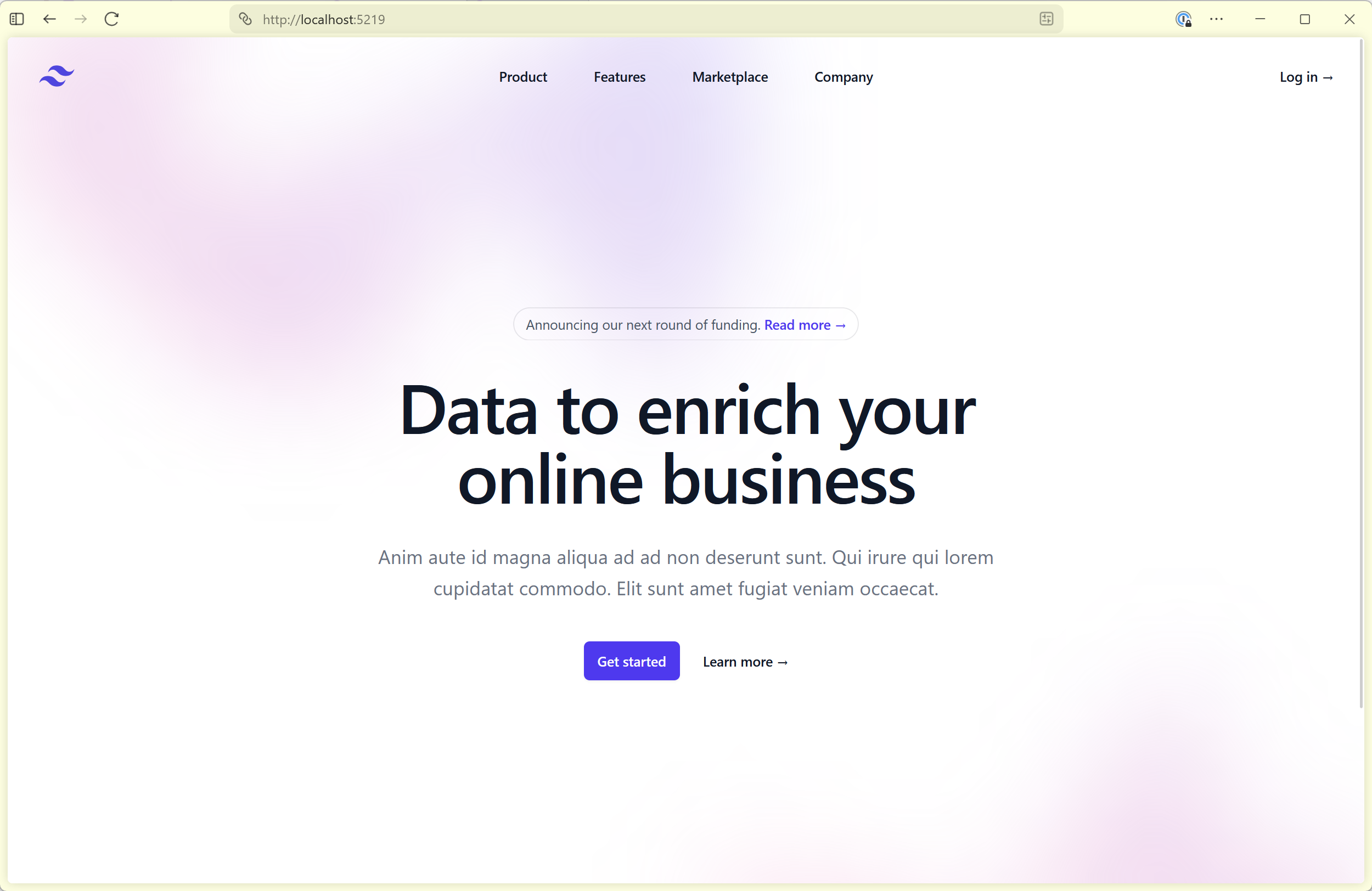 The running application with Tailwind styles applied